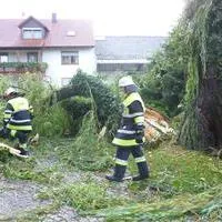 symbolbild_sturmschaden.jpg